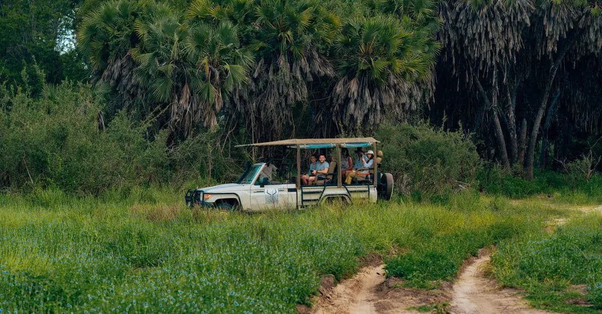 Guide d'achat pour un safari en jungle